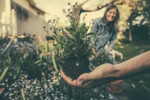 L’entretien d’un jardin et ses vertus sur la santé